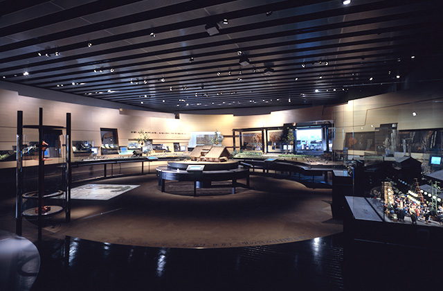常设展览区域 1/3