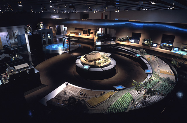 常设展览区域 2/3