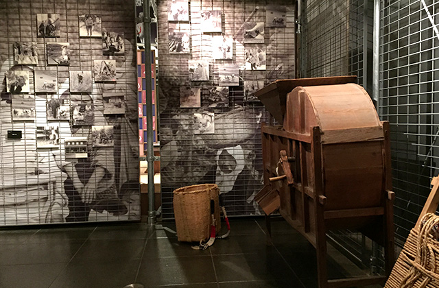 Work and Livelihood 1/1