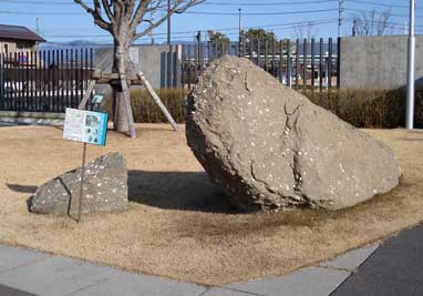 古富士川海峡の化石の写真