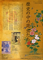 「歴史の中の昆虫たち」リーフレット