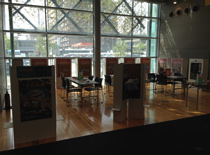 図書館展示