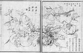 「甲斐叢記」の甲州八珍果の挿絵