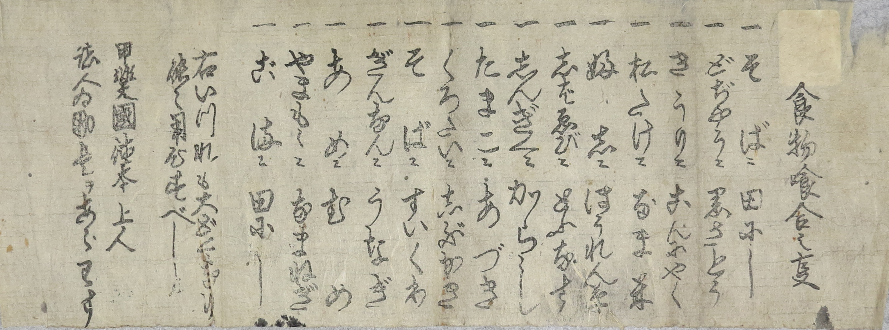 展示案内 鑑賞・学習型展示 かいじあむ おすすめの展示資料