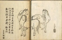 甲斐叢記