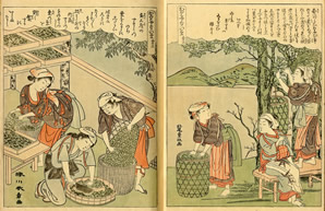 絵本宝能縷
