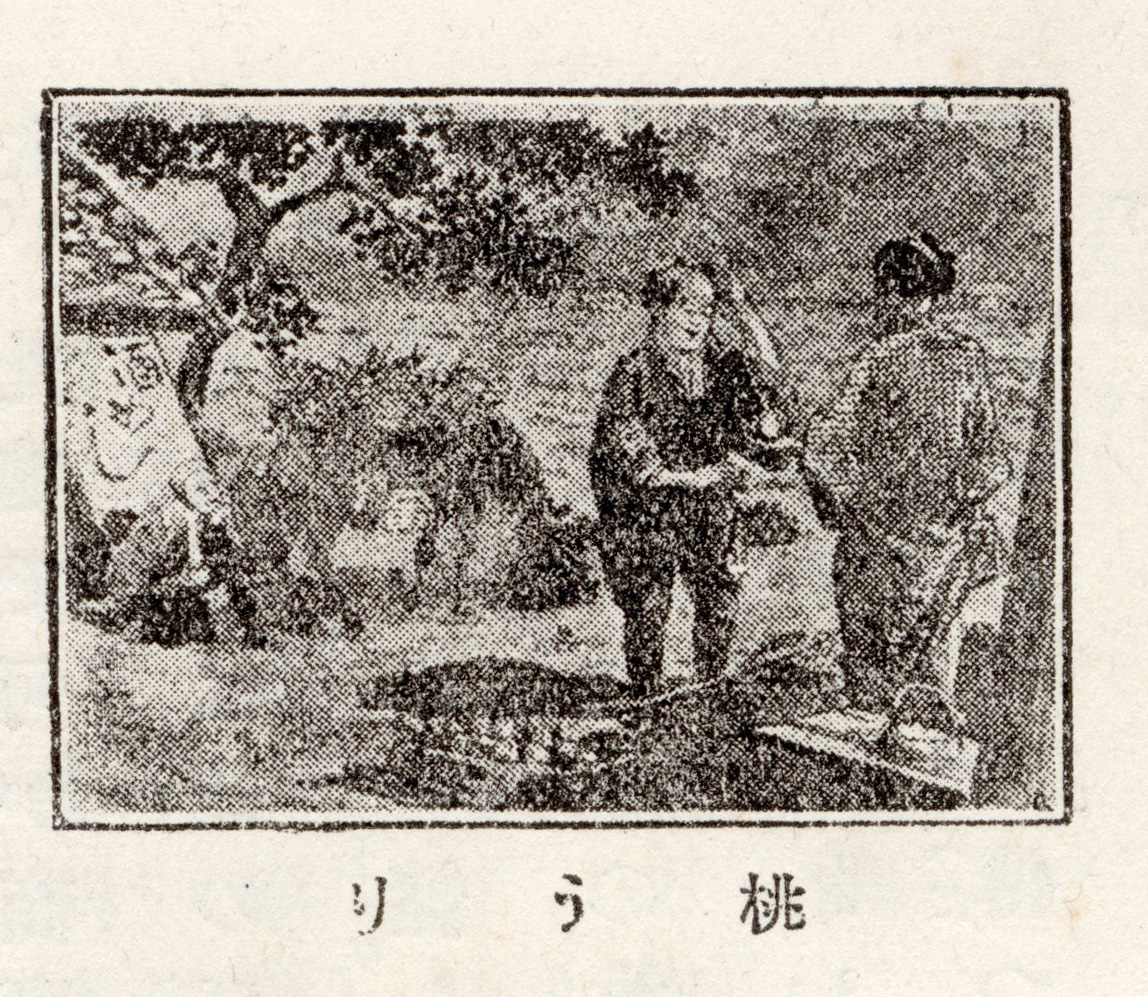 『若尾逸平』156頁「桃うり」
