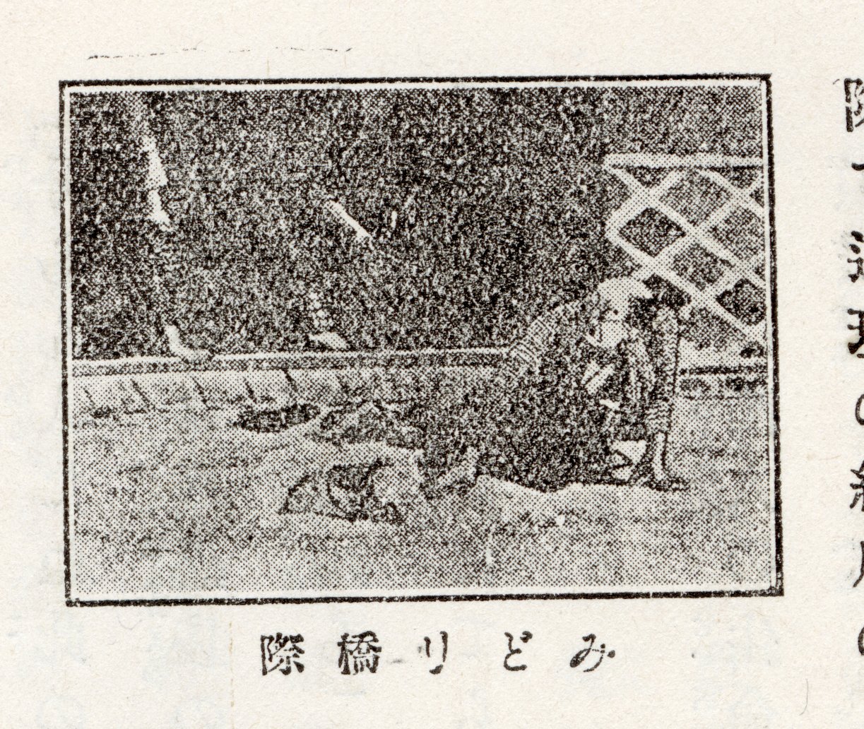 『若尾逸平』276頁「みどり橋際」